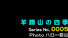 シリーズ番号5番　羊蹄山の四季