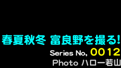 シリーズ番号12番　春夏秋冬、富良野を撮る