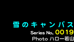 シリーズ番号19番　雪のキャンバス