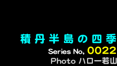 シリーズ番号22番　積丹半島の四季