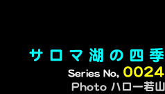 シリーズ番号24番　サロマ湖の四季