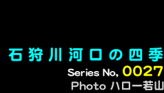 シリーズ番号27番　石狩川河口の四季