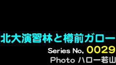 シリーズ番号29番　北大演習林と樽前ガロー