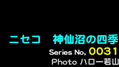 シリーズ番号31番　ニセコ、神仙沼の四季
