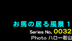 シリーズ番号32番　お馬の居る風景
