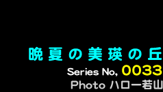 シリーズ番号33番　晩夏の美瑛の丘