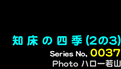 シリーズ番号37番　知床の四季(2の3)