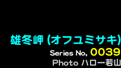 シリーズ番号39番　オフユミサキ