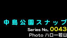 シリーズ番号43番　中島公園スナップ