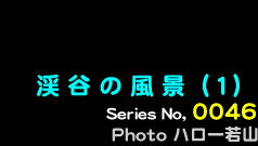 シリーズ番号46番　渓谷の風景（１）