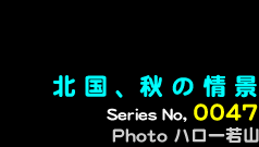 シリーズ番号47番　北国、秋の情景