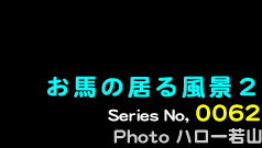 シリーズ番号62　お馬のいる風景 II