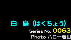 シリーズ番号63　白鳥(はくちょう)