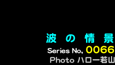 シリーズ番号66　波の情景