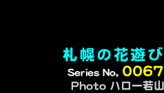 シリーズ番号67　札幌の花遊び