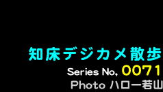 シリーズ番号71　知床デジカメ散歩