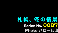 シリーズ番号87番　札幌、冬の情景