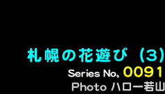 シリーズ番号91番　札幌の花遊び３