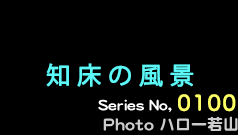 シリーズ番号000番　知床を撮る
