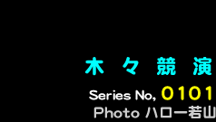 シリーズ番号000番　木々競演