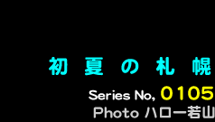 シリーズ番号105番　初夏の札幌