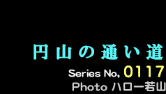 シリーズ番号117　円山の　通い路