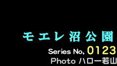 シリーズ番号123番　モエレ沼公園