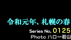 シリーズ番号125番　令和元年、札幌の春。