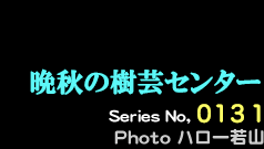 シリーズ番号000番　晩秋の樹芸センター