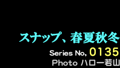 シリーズ番号135番　スナップ、春夏秋冬