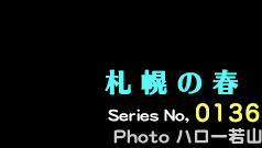 シリーズ番号136番　札幌の春