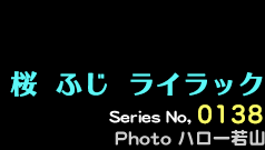 シリーズ番号138番　桜。ふじ。ライラック。