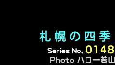 シリーズ番号148番　札幌の四季