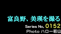 シリーズ番号152番　富良野、美瑛を撮る