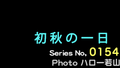 シリーズ番号154番　初秋の一日