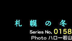 シリーズ番号158番　札幌の冬
