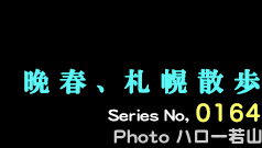 シリーズ番号000番　晩春、札幌散歩