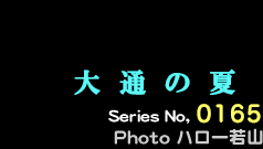 シリーズ番号165番　大通の夏