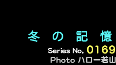 シリーズ番号169番　冬の記憶