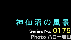 シリーズ番号179番　神仙沼の風景