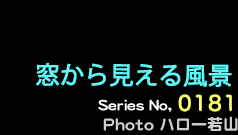 シリーズ番号181番　窓から見える風景