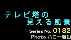 シリーズ番号182番　テレビ塔の見える風景