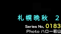 シリーズ番号183番　札幌晩秋　２